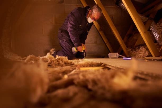 Best Insulation Installation Services in Hillsboro, OH